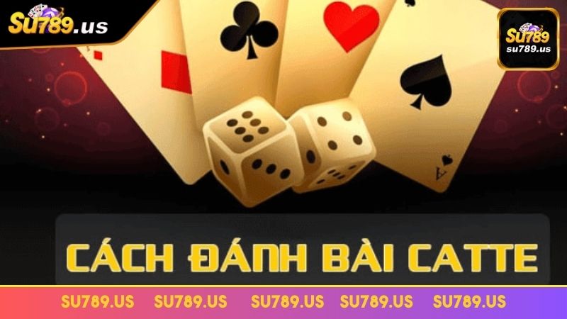 Bật mí chi tiết cách chơi Catte cho tân thủ Bật mí chi tiết cách chơi Catte cho tân thủ