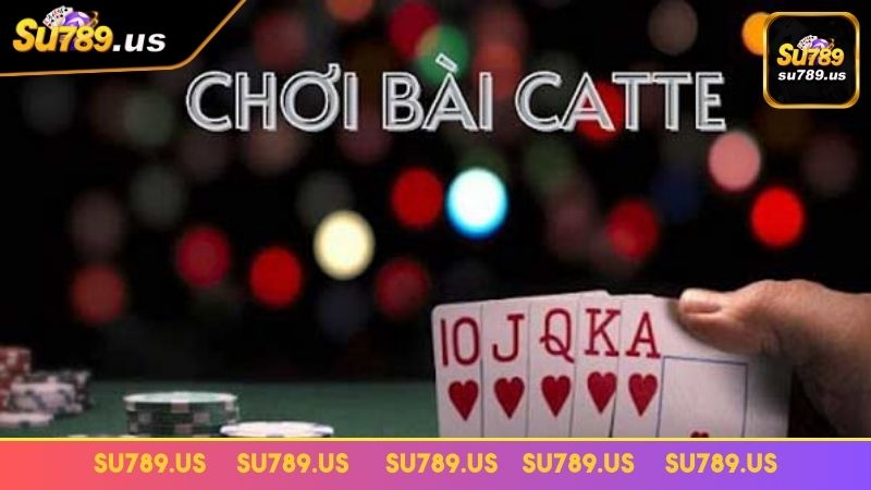 Mẹo chơi Catte hiệu quả và thắng lớn từ cao thủ Mẹo chơi Catte hiệu quả và thắng lớn từ cao thủ